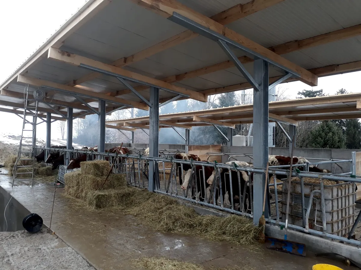 Stall Projekt
